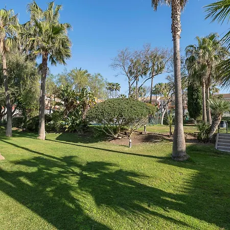 Oasis Playero